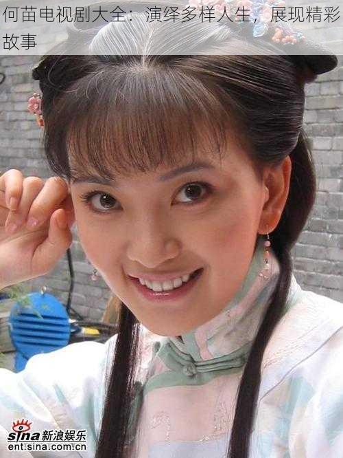 何苗电视剧大全:演绎多样人生,展现精彩故事