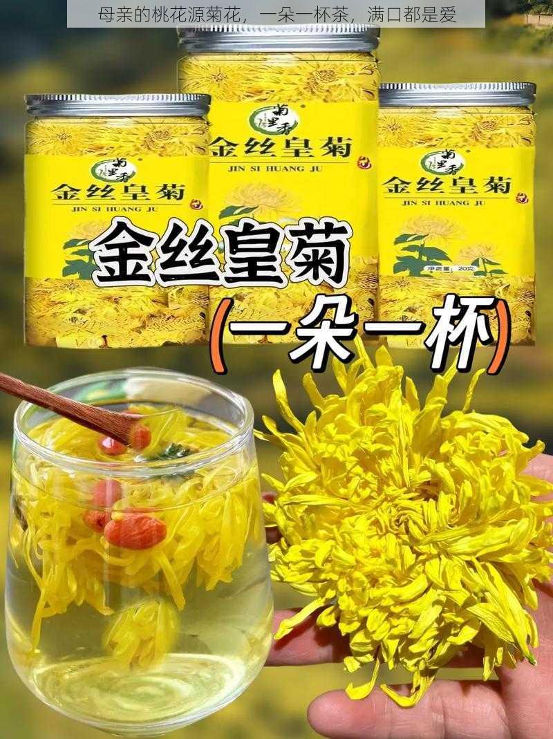 母亲的桃花源菊花,一朵一杯茶,满口都是爱