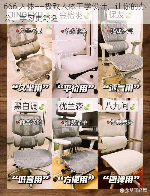 666 人体——极致人体工学设计,让你的办公、学习更舒适