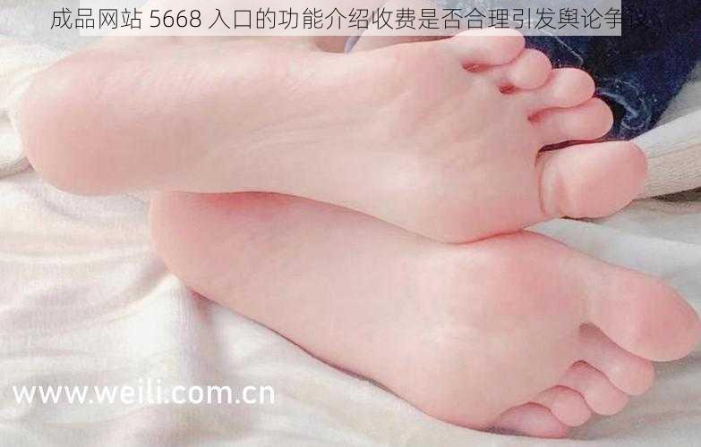 成品网站 5668 入口的功能介绍收费是否合理引发舆论争议