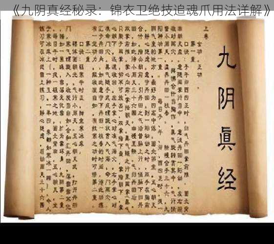 《九阴真经秘录:锦衣卫绝技追魂爪用法详解》