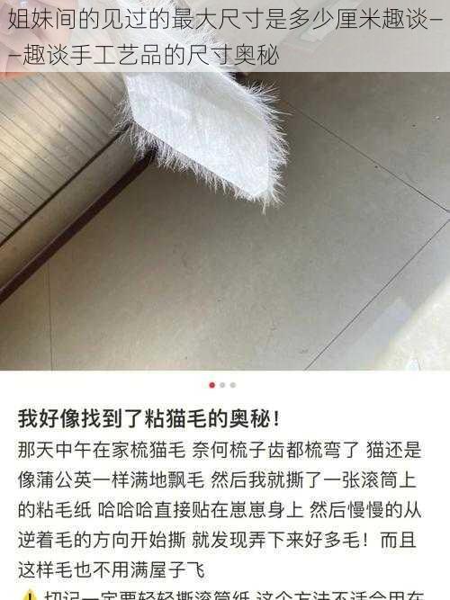 姐妹间的见过的最大尺寸是多少厘米趣谈——趣谈手工艺品的尺寸奥秘
