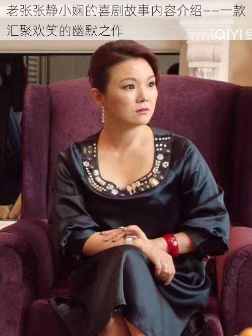 老张张静小娴的喜剧故事内容介绍——一款汇聚欢笑的幽默之作
