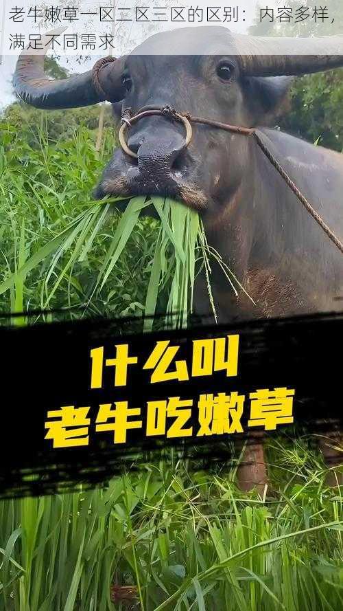 老牛嫩草一区二区三区的区别:内容多样,满足不同需求