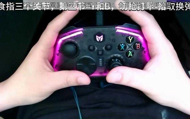 《真北斗无双》游戏手柄操作宝典:全面指南与技巧解析