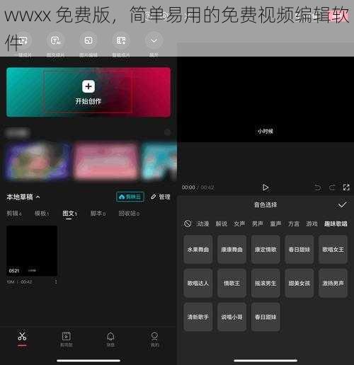 wwxx 免费版,简单易用的免费视频编辑软件