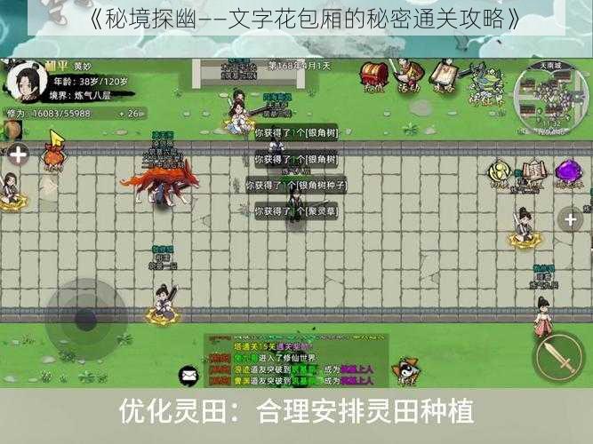 《秘境探幽——文字花包厢的秘密通关攻略》