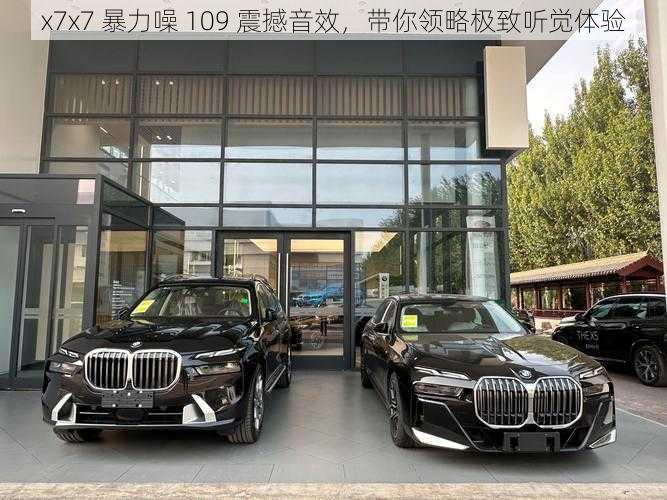 x7x7 暴力噪 109 震撼音效,带你领略极致听觉体验