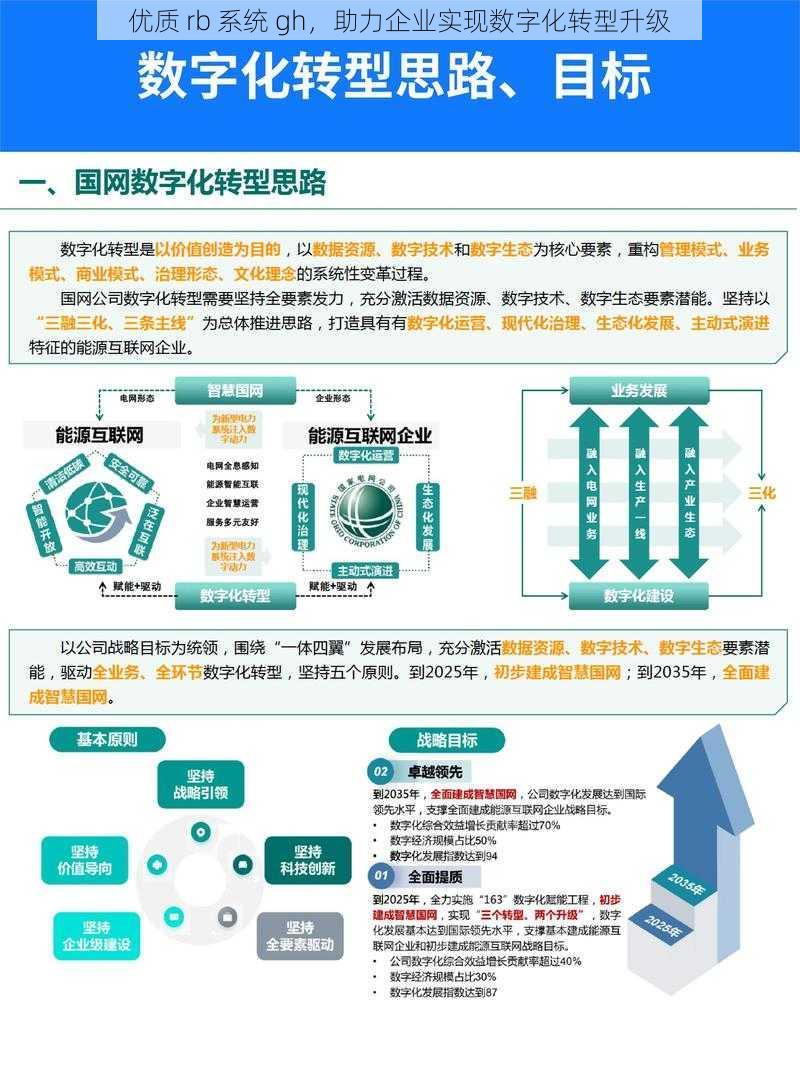 优质 rb 系统 gh,助力企业实现数字化转型升级