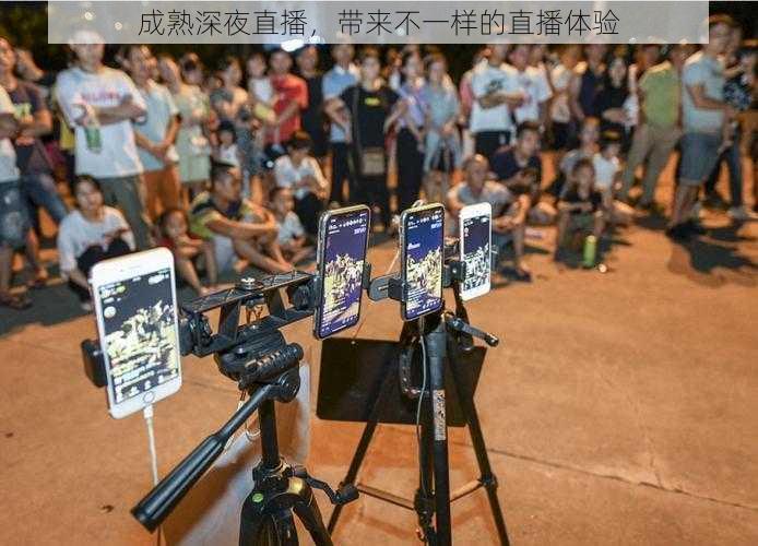 成熟深夜直播,带来不一样的直播体验