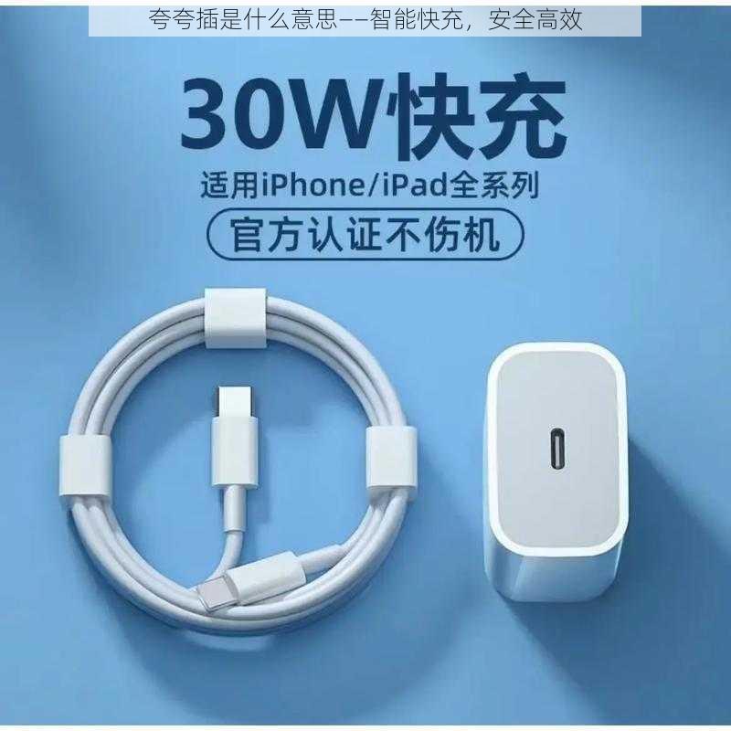 夸夸插是什么意思——智能快充,安全高效