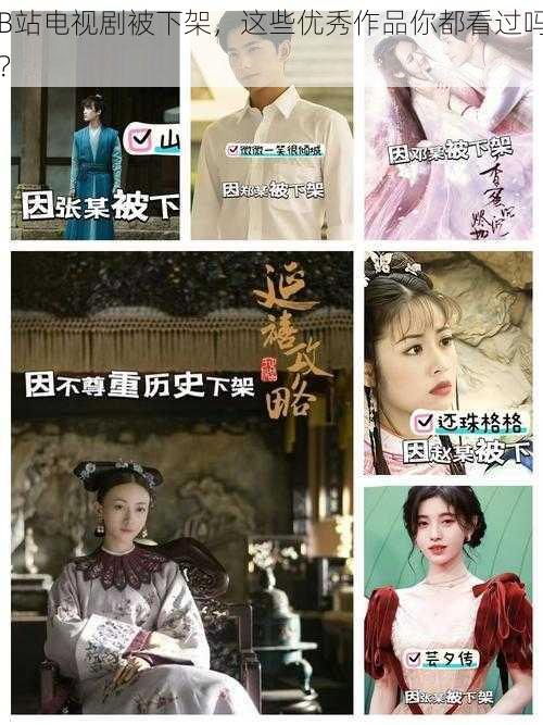 B站电视剧被下架,这些优秀作品你都看过吗?