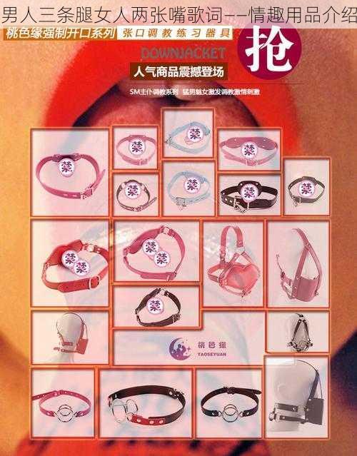 男人三条腿女人两张嘴歌词——情趣用品介绍