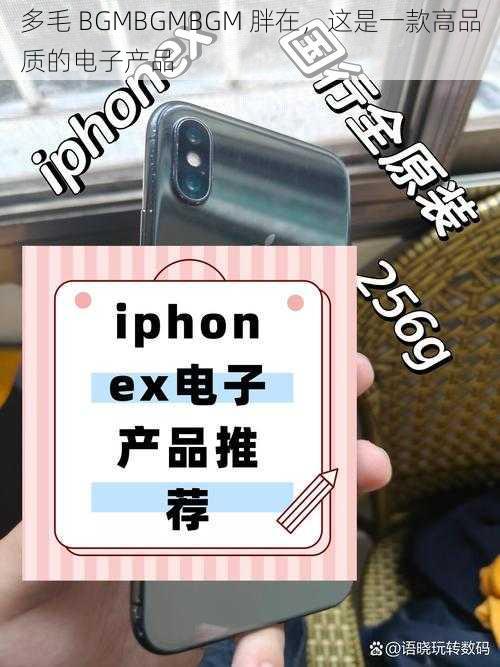 多毛 BGMBGMBGM 胖在,这是一款高品质的电子产品
