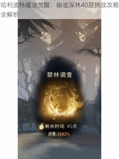 哈利波特魔法觉醒:幽谧深林40层挑战攻略全解析