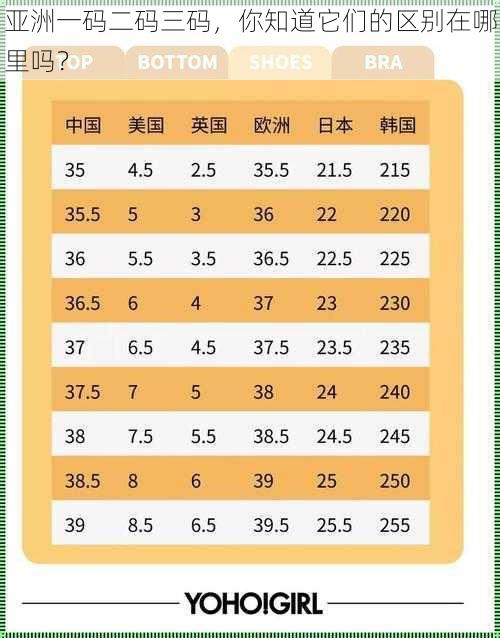 亚洲一码二码三码,你知道它们的区别在哪里吗?