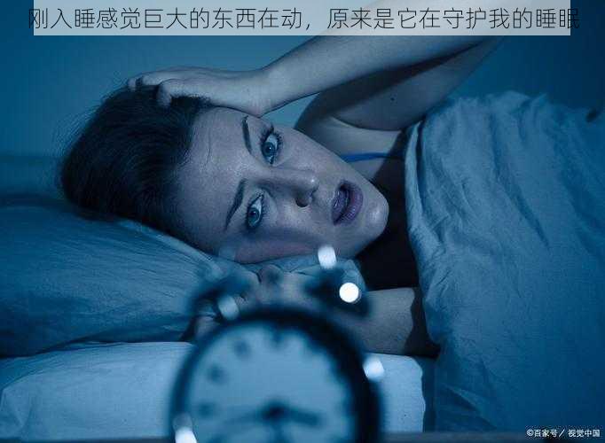 刚入睡感觉巨大的东西在动,原来是它在守护我的睡眠