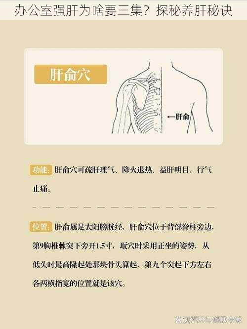 办公室强肝为啥要三集?探秘养肝秘诀