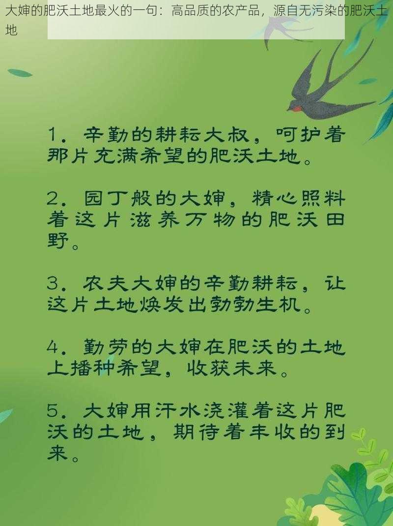 大婶的肥沃土地最火的一句:高品质的农产品,源自无污染的肥沃土地