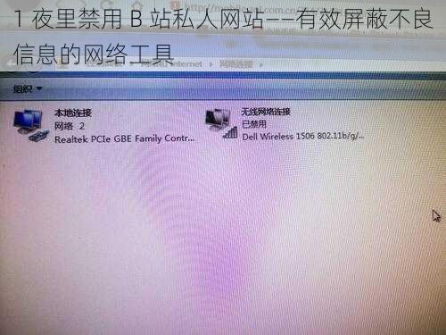 1 夜里禁用 B 站私人网站——有效屏蔽不良信息的网络工具