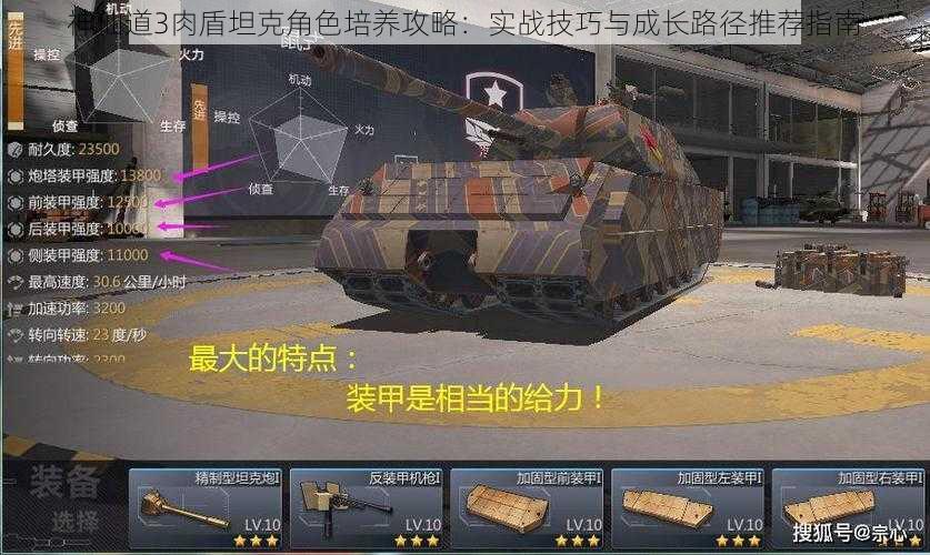 神仙道3肉盾坦克角色培养攻略:实战技巧与成长路径推荐指南