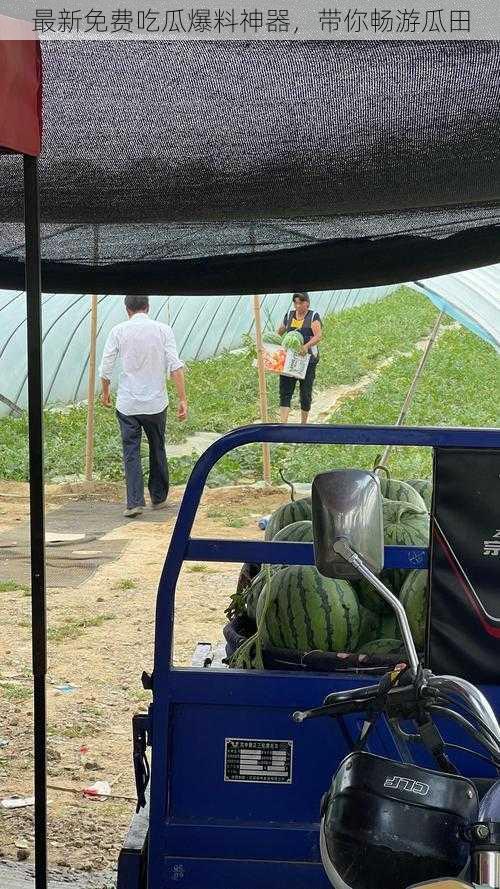 最新免费吃瓜爆料神器,带你畅游瓜田