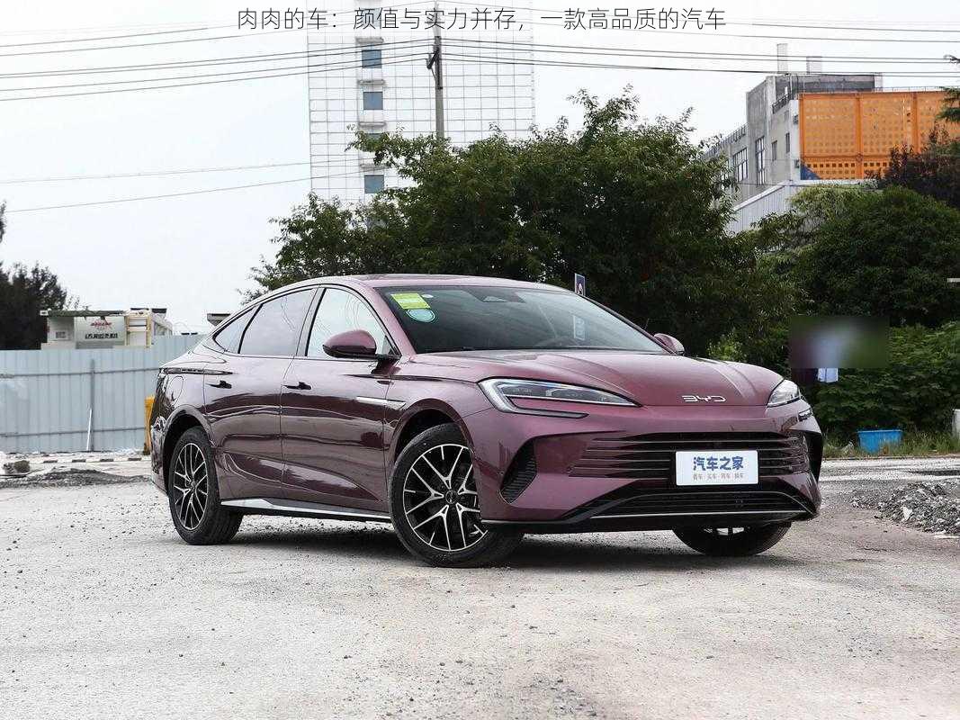 肉肉的车:颜值与实力并存,一款高品质的汽车
