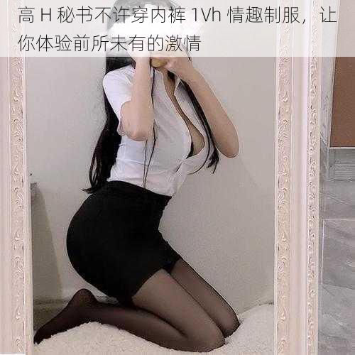高 H 秘书不许穿内裤 1Vh 情趣制服，让你体验前所未有的激情