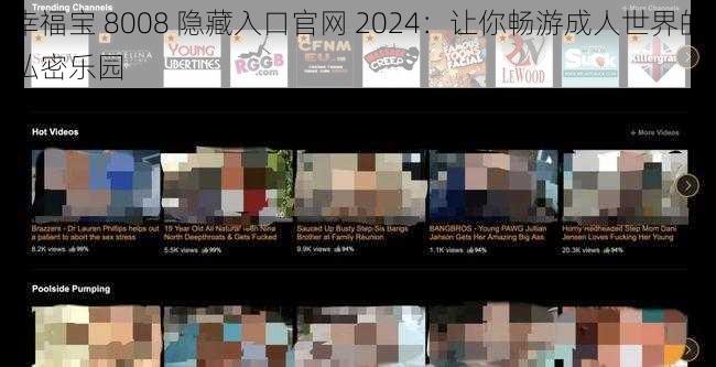 幸福宝 8008 隐藏入口官网 2024：让你畅游成人世界的私密乐园