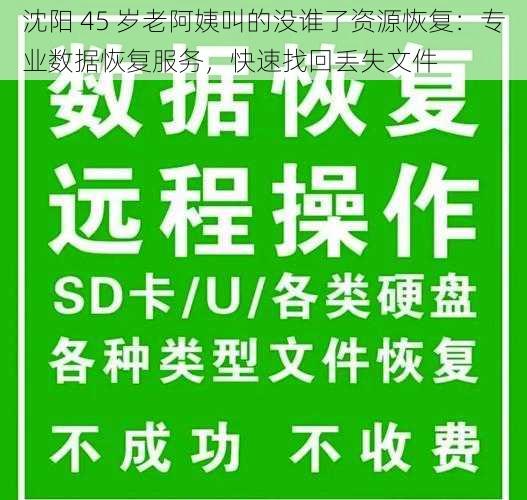 沈阳 45 岁老阿姨叫的没谁了资源恢复:专业数据恢复服务,快速找回丢失文件