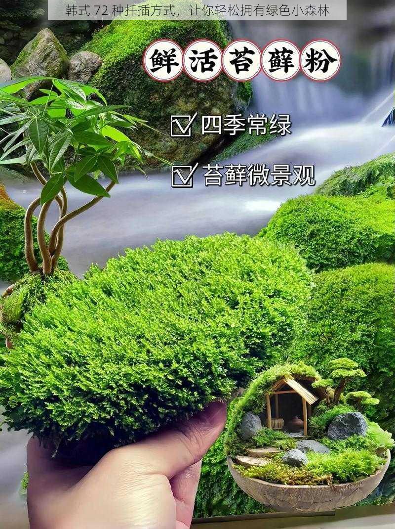 韩式 72 种扦插方式,让你轻松拥有绿色小森林