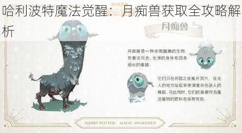哈利波特魔法觉醒：月痴兽获取全攻略解析