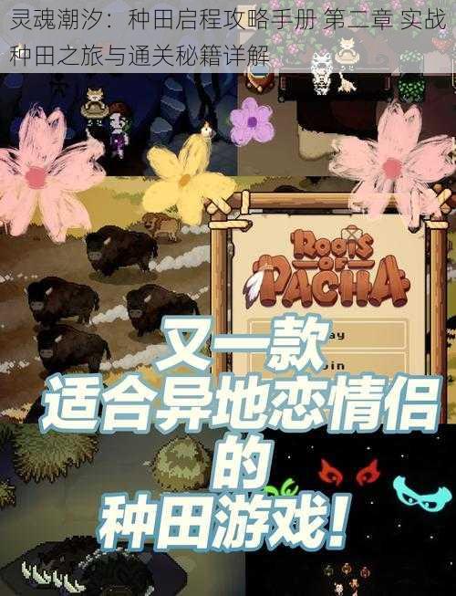 灵魂潮汐:种田启程攻略手册 第二章 实战种田之旅与通关秘籍详解