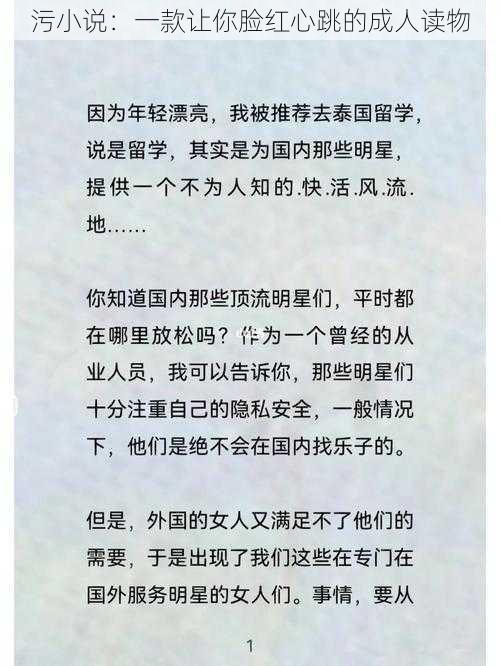 污小说:一款让你脸红心跳的成人读物