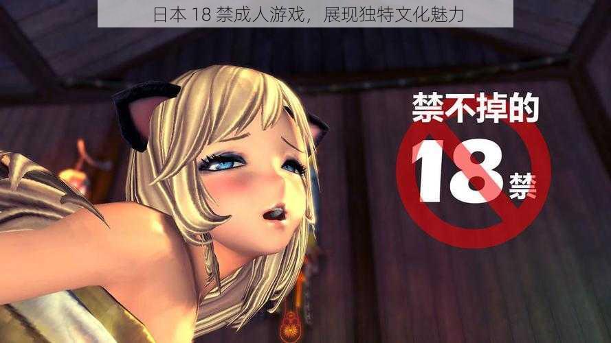 日本 18 禁成人游戏,展现独特文化魅力