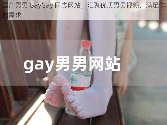 国产男男 GayGay 同志网站，汇聚优质男男视频，满足你的需求