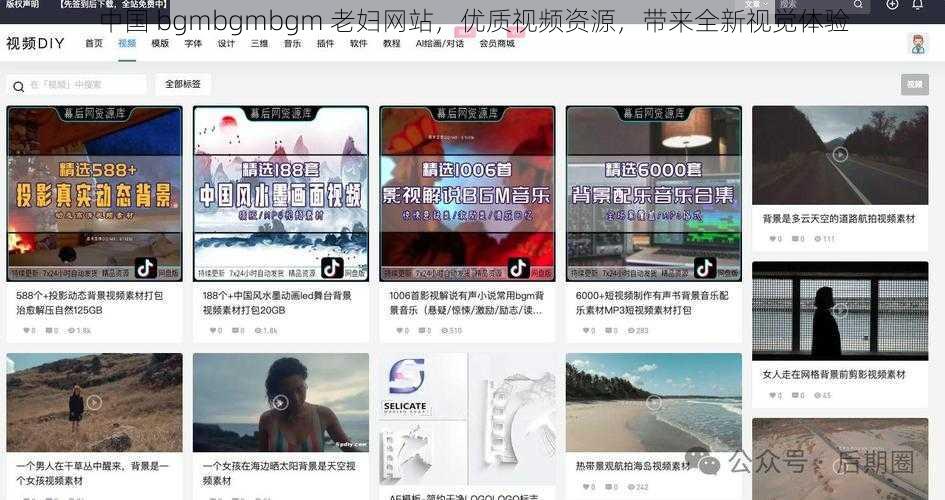 中国 bgmbgmbgm 老妇网站,优质视频资源,带来全新视觉体验