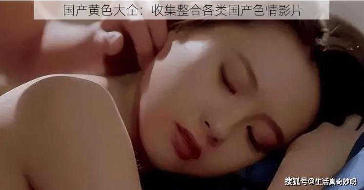 国产黄色大全:收集整合各类国产色情影片