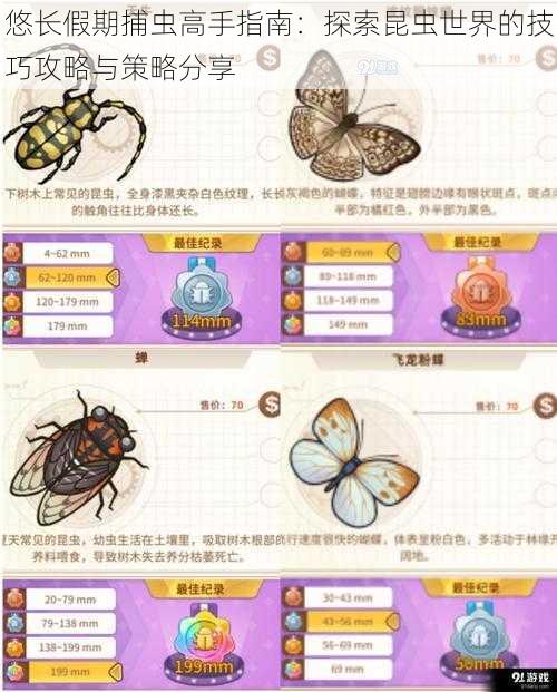 悠长假期捕虫高手指南:探索昆虫世界的技巧攻略与策略分享