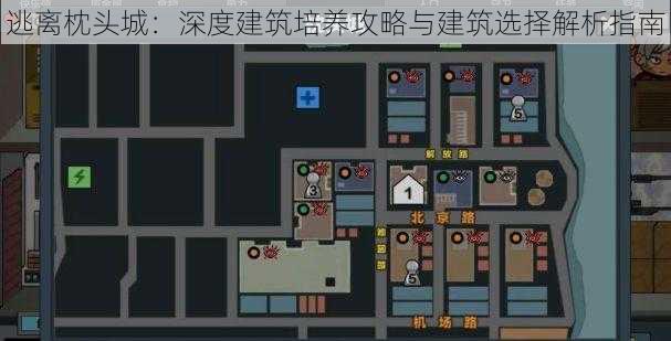逃离枕头城:深度建筑培养攻略与建筑选择解析指南