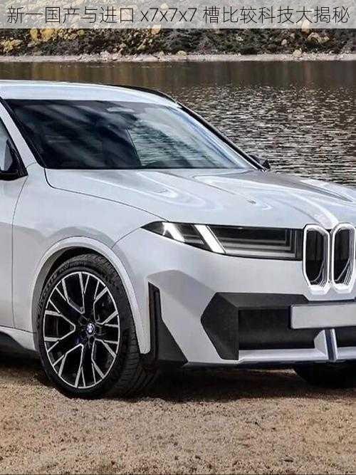 新一国产与进口 x7x7x7 槽比较科技大揭秘