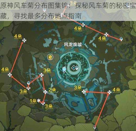 原神风车菊分布图集锦：探秘风车菊的秘密宝藏，寻找最多分布地点指南