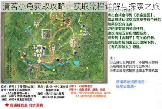 清茗小龟获取攻略:获取流程详解与探索之旅
