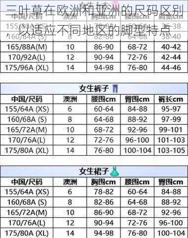 三叶草在欧洲和亚洲的尺码区别,以适应不同地区的脚型特点