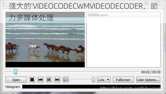 强大的 VIDEOCODECWMVIDEODECODER，助力多媒体处理