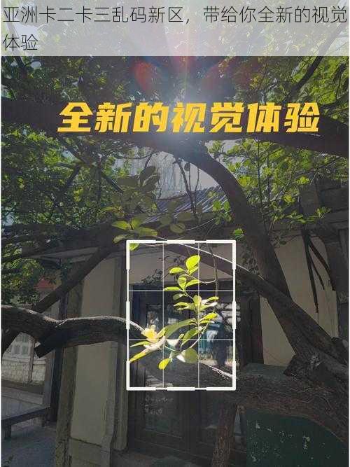 亚洲卡二卡三乱码新区,带给你全新的视觉体验