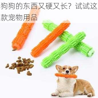 狗狗的东西又硬又长?试试这款宠物用品