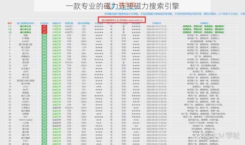 一款专业的磁力连接磁力搜索引擎