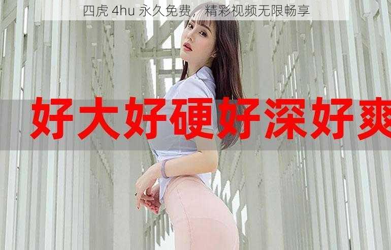 四虎 4hu 永久免费,精彩视频无限畅享