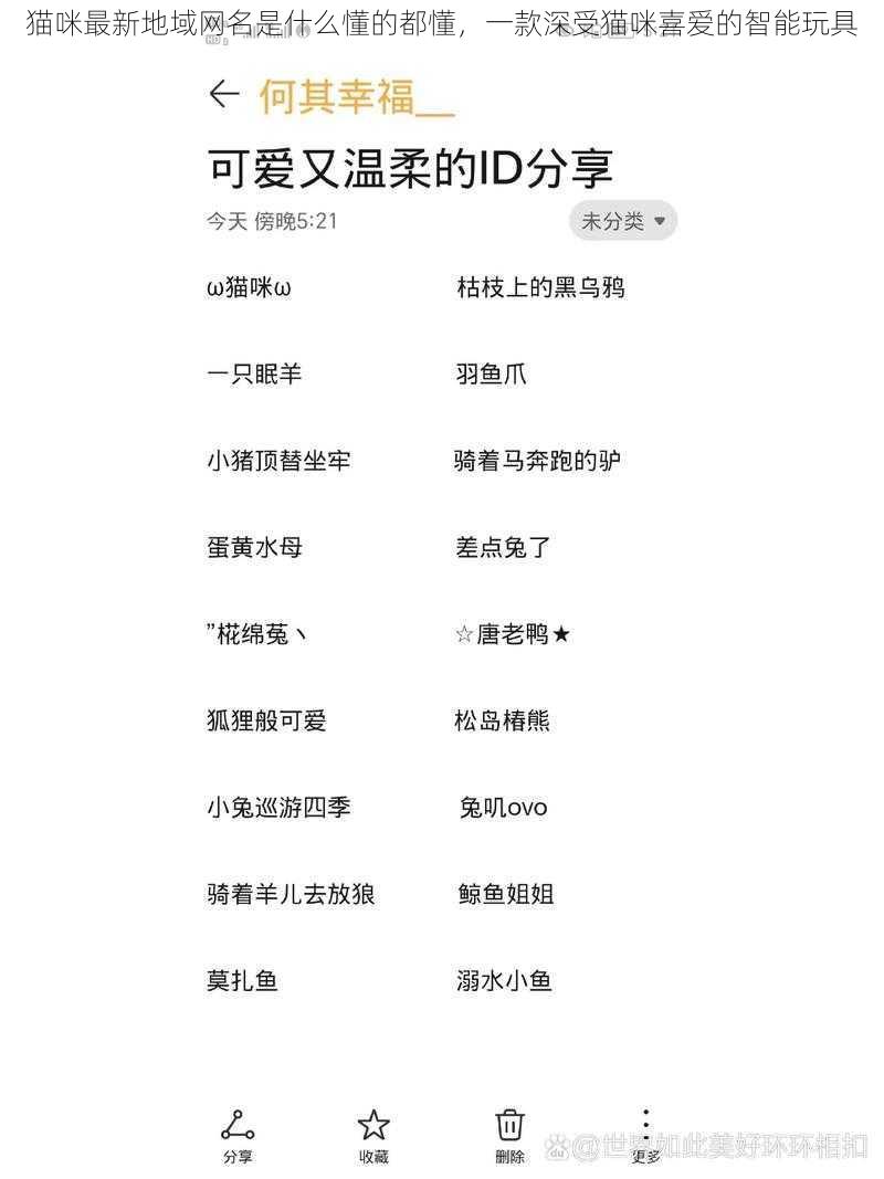 猫咪最新地域网名是什么懂的都懂,一款深受猫咪喜爱的智能玩具